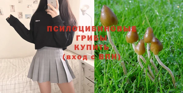 спиды Кинешма