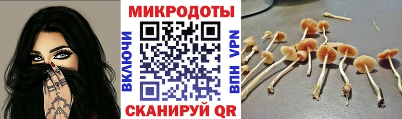 Купить  Ишим  Галлюциногенные грибы мицелий 